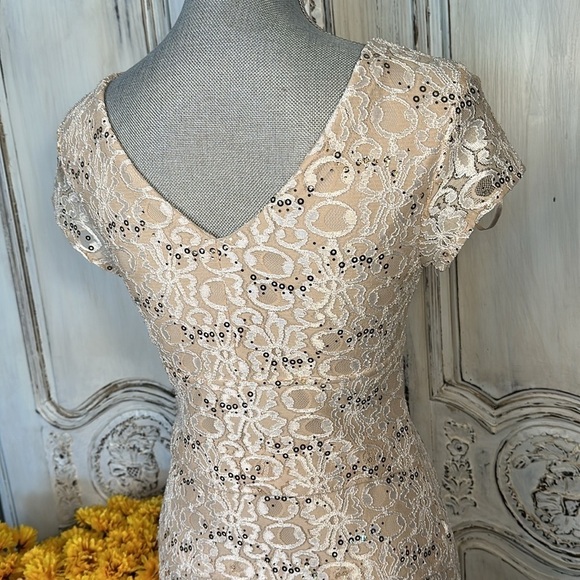 Scarlett Tan Lace and Sequins Short Sleeve Special Occassion Party Dress Size 6 - Picture 6 of 11